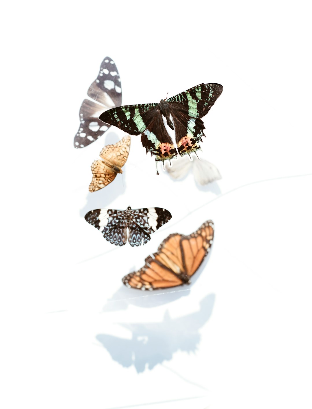 Seasonal Color Trends